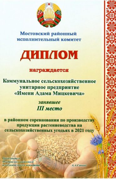 diplom-2021-1