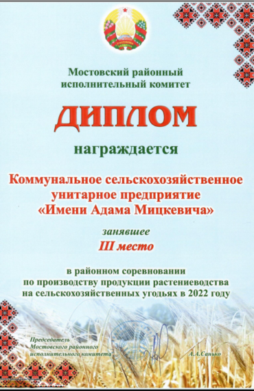 диплом 2022