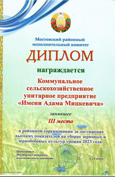 диплом 3 место