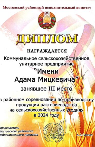 photo_2025-12-10_10-36-57